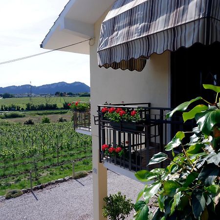 L'Edera Appartamento Rivoli Veronese Ngoại thất bức ảnh