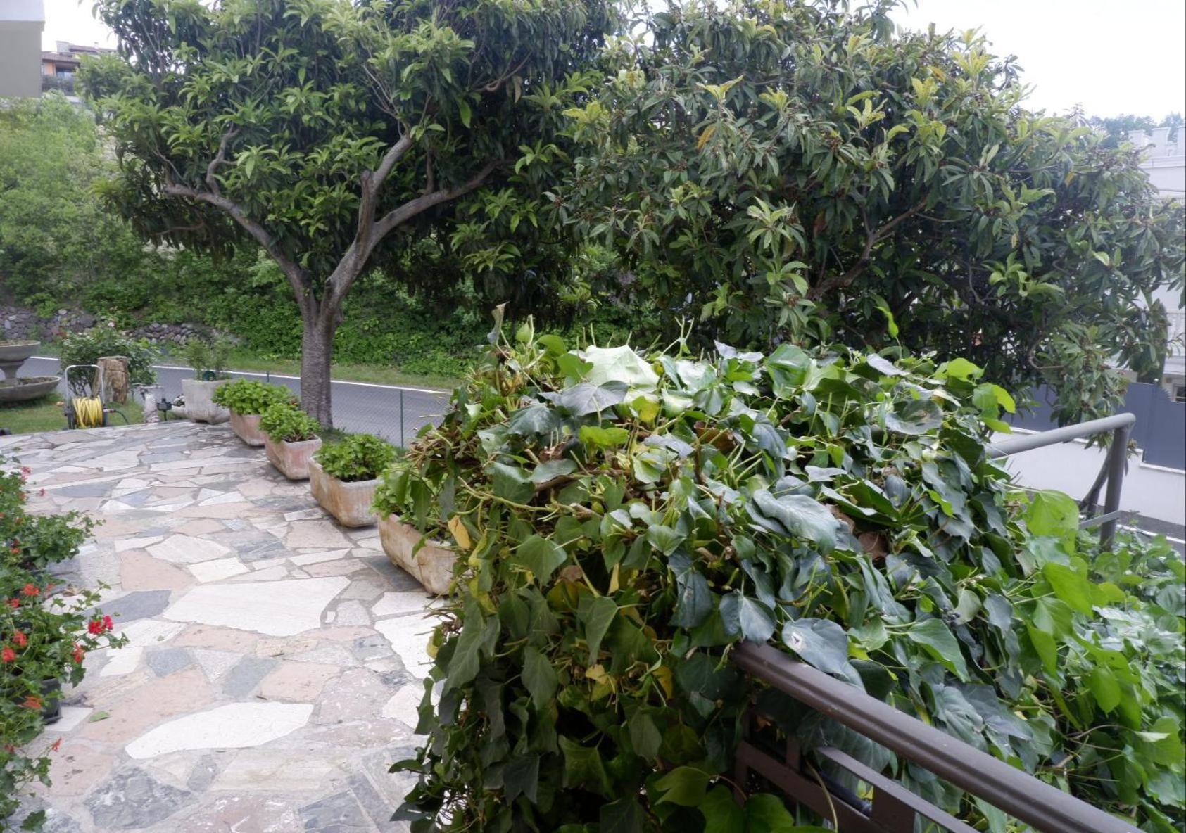 L'Edera Appartamento Rivoli Veronese Ngoại thất bức ảnh